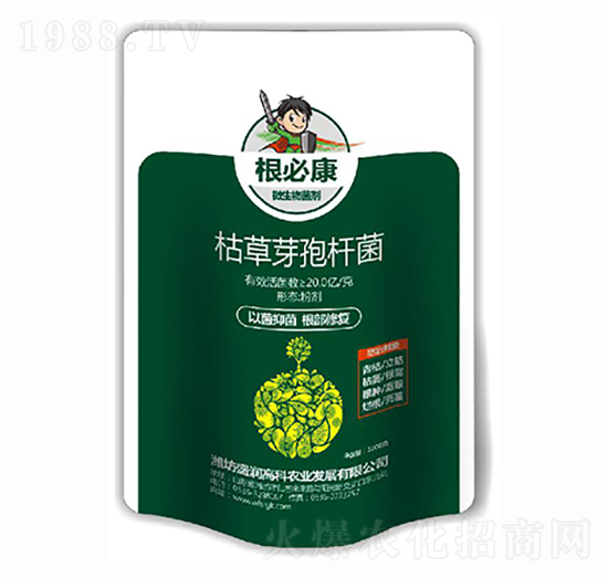 枯草芽孢桿菌-根必康-盛潤(rùn)高科