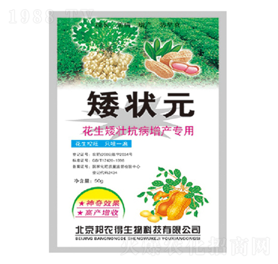 花生矮壯抗病增產(chǎn)專用-矮狀元-海而三利