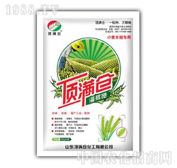 頂滿倉-灌漿飽