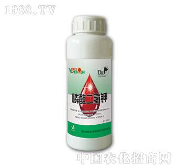 晨陽(yáng)-磷酸二氫鉀500ml