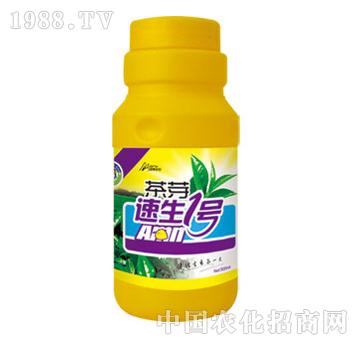 綠博-茶芽500ml