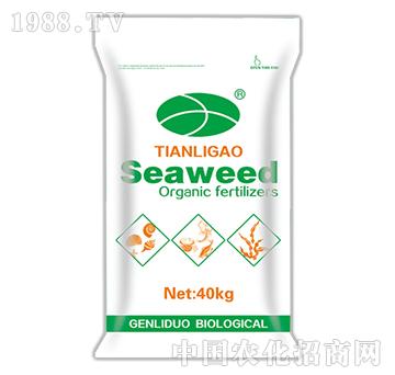 ЙC(j)-Seaweed-