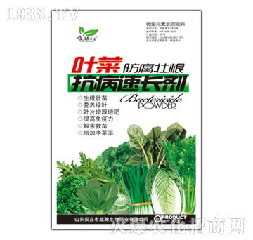 葉菜防腐壯根抗病速長劑-越瀚生物