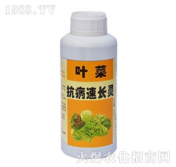 葉菜抗病速長靈500ml-農(nóng)得利