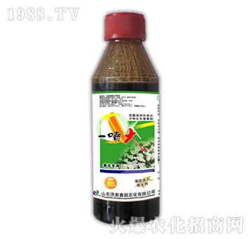 一噴大菊花專用500ml-賽陽