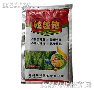 粒粒飽-小麥專用葉面肥-偉科肥業(yè)