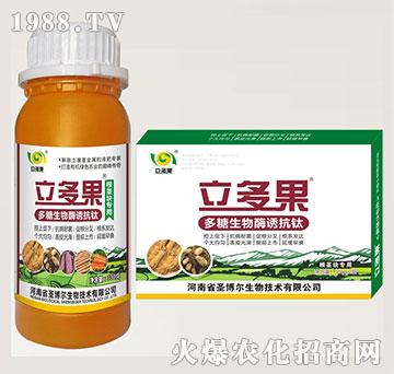 根莖塊專用葉面肥-多糖生物酶誘抗肽-立多果-圣博爾