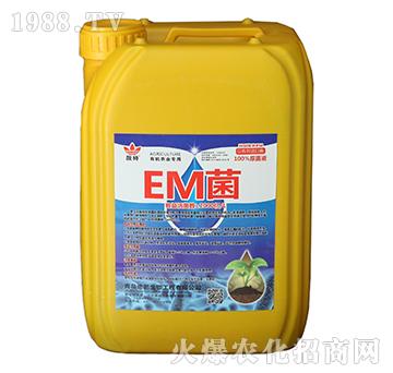 EM-(qing)ʢ