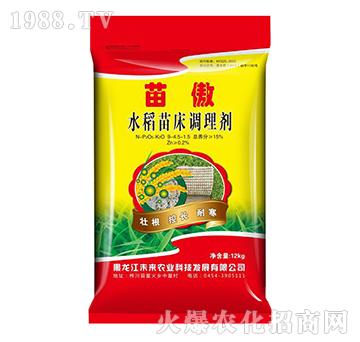 水稻苗床調(diào)理劑-苗傲-未來(lái)農(nóng)業(yè)