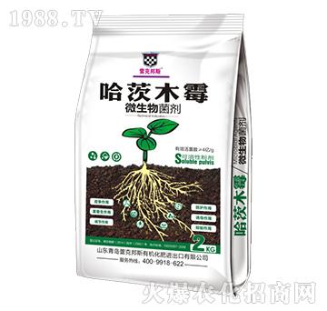 哈茨木霉-微生物菌劑-雷克邦斯