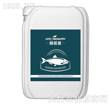 SEAWEED FISH PROTEIN-ZΨ-S