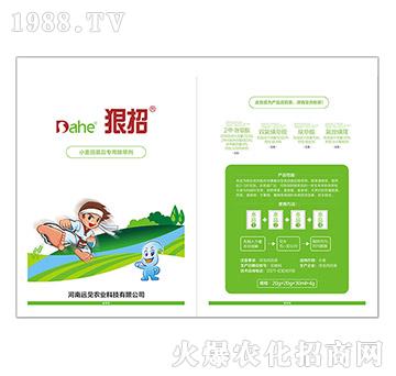 小麥苗后專用除草劑-狠招-遠(yuǎn)見農(nóng)業(yè)