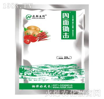 土豆、番茄、煙葉、辣椒（苗后專用）-四面鋤擊-農(nóng)聯(lián)生物