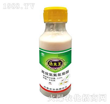 2.5%高效氯氟氰菊酯-功夫王-中聯(lián)國際