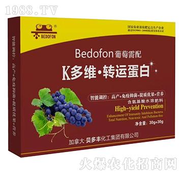 60g葡萄需配含氨基酸水溶肥-K多維·轉(zhuǎn)運(yùn)蛋白-貝多豐