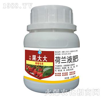 荷蘭液肥-草莓專用果大大-創(chuàng)福農(nóng)