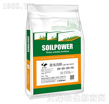 大量元素水溶肥料20-20-20+TE-菲戈力斯-金寶萊