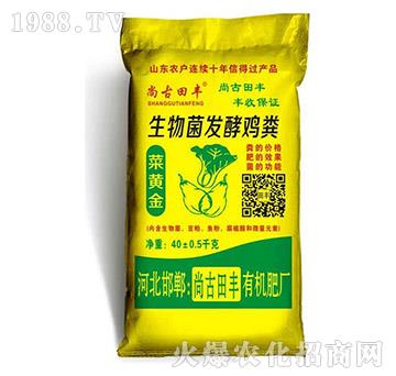 生物菌發(fā)酵雞糞-源沃肥業(yè)