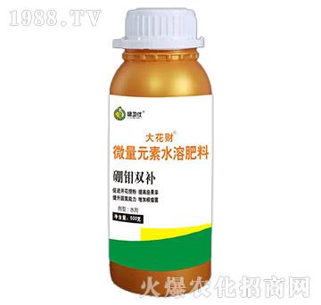 微量元素水溶肥料-大花財(cái)-綠仕生物