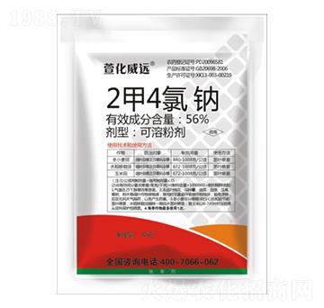 56%24c-滯