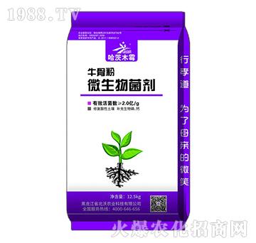 牛骨粉微生物菌劑-哈茨木霉-北沃農(nóng)業(yè)