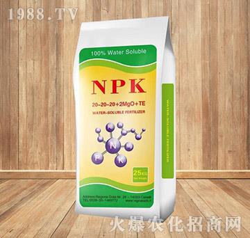 25kg大量元素水溶肥料20-20-20+2MgO+TE-中蘇農(nóng)資