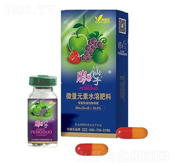 微量元素水溶肥料-膨果仙子-稼稼樂