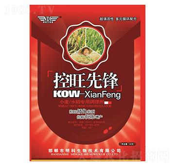 小麥水稻專用調(diào)理劑-控旺先鋒-明科生物