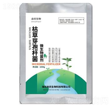 枯草芽孢桿菌-啟農(nóng)生物