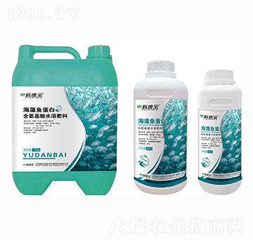 海藻魚蛋白 科德寶