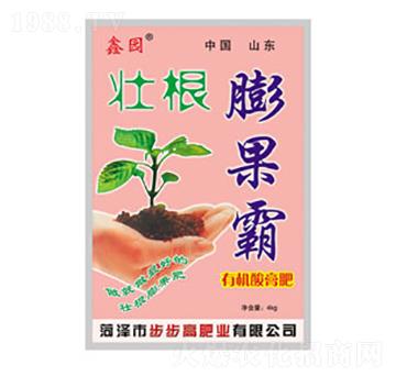 壯根膨果霸-鑫園-步步高肥業(yè)