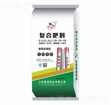 40kg復合肥料19-19-19-騰博肥業(yè)