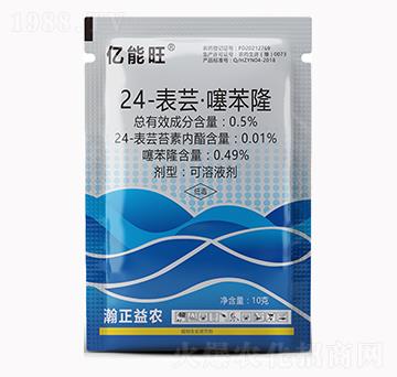 10g24-|籽