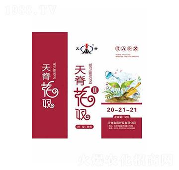 花奴Ⅱ20-21-21-天脊