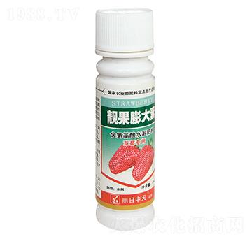 草莓專用-靚果膨大素-中天肥業(yè)