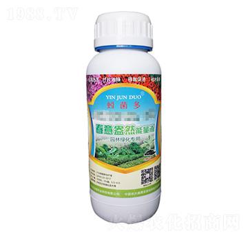 園林綠化專用春意盎然能量液-蚓菌多-農(nóng)沃綠農(nóng)業(yè)