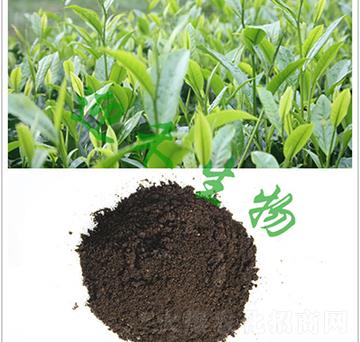 茶樹(shù)專(zhuān)用肥-迎禾生物