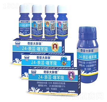 0.5%24-表蕓·噻苯隆可溶液劑-奇膨大胖墩-瀚正益農(nóng)